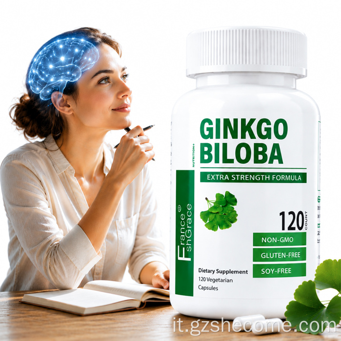 Ginkgo Biloba Supporto delle capsule di Ginkgo Biloba per il cervello